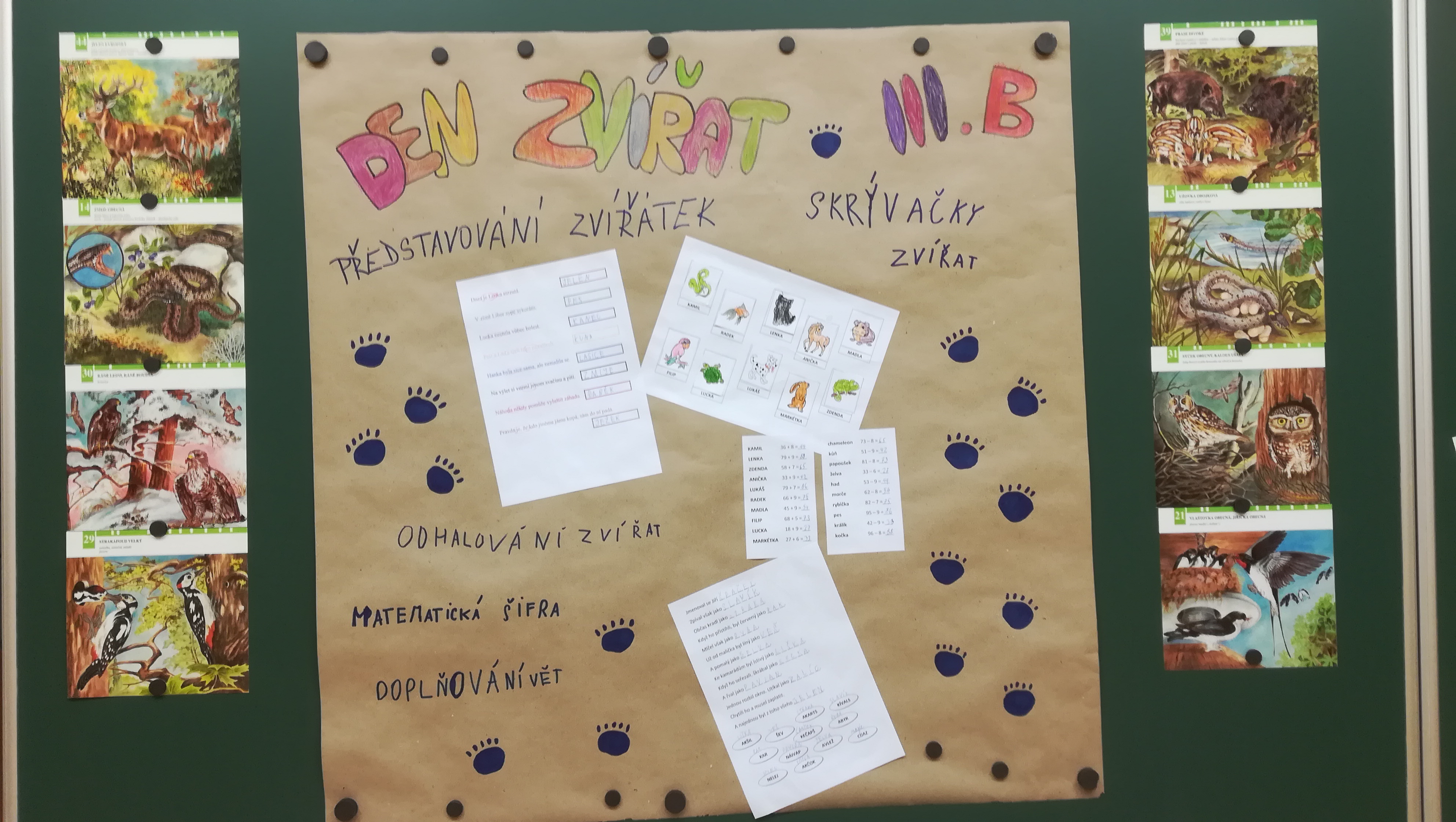 Den zvířat 09