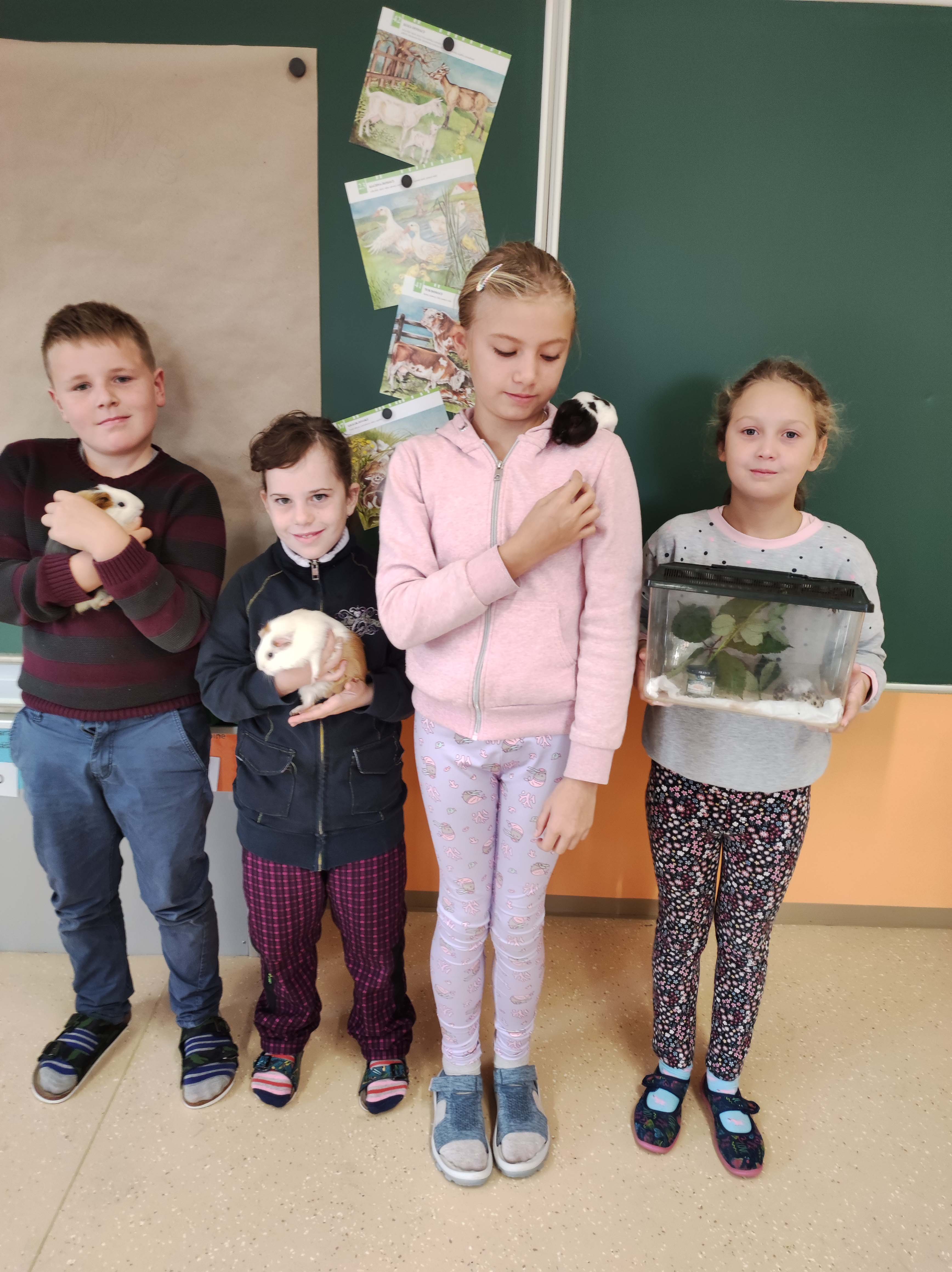Den zvířat 02